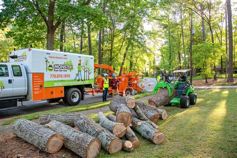 Events outside of your control, like storms or earthquakes, can cause severe damage and threaten the long-term health of your <strong>tree</strong>. . Monster tree service